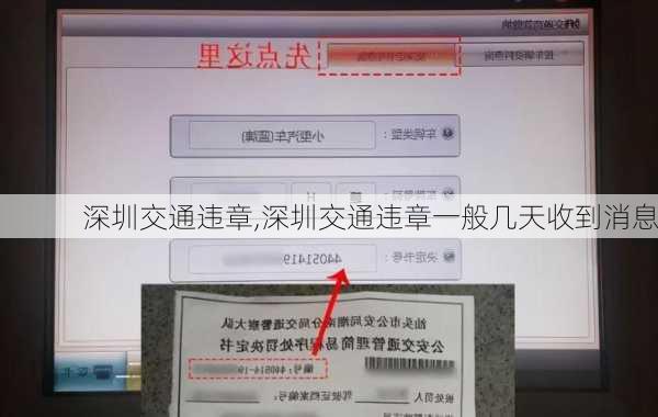 深圳交通违章,深圳交通违章一般几天收到消息