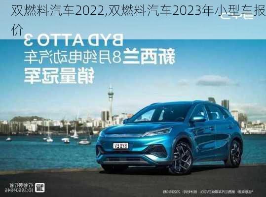 双燃料汽车2022,双燃料汽车2023年小型车报价