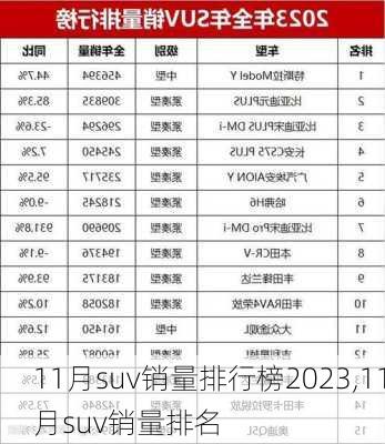 11月suv销量排行榜2023,11月suv销量排名