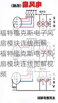 福特福克斯电子风扇模块连线图解,福特福克斯电子风扇模块连线图解视频