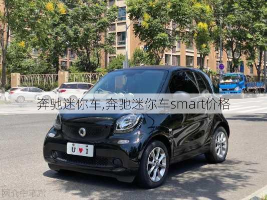 奔驰迷你车,奔驰迷你车smart价格