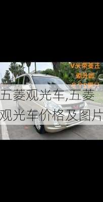 五菱观光车,五菱观光车价格及图片