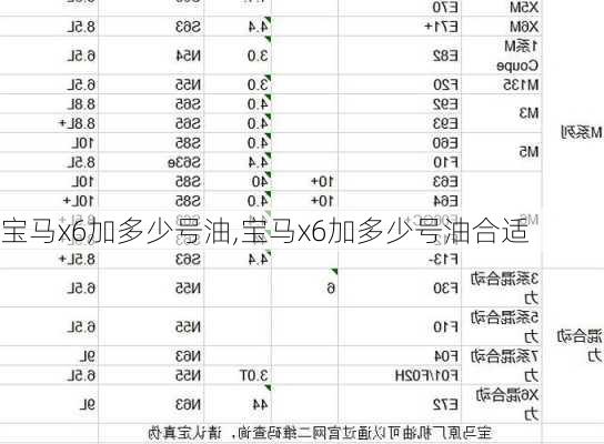 宝马x6加多少号油,宝马x6加多少号油合适