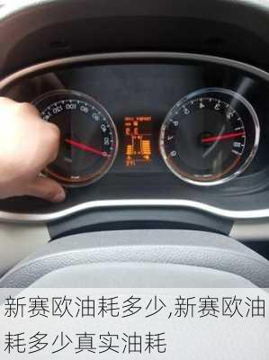 新赛欧油耗多少,新赛欧油耗多少真实油耗