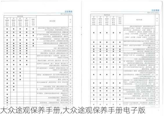 大众途观保养手册,大众途观保养手册电子版