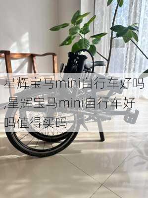 星辉宝马mini自行车好吗,星辉宝马mini自行车好吗值得买吗