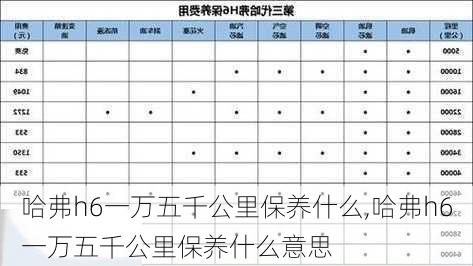 哈弗h6一万五千公里保养什么,哈弗h6一万五千公里保养什么意思