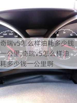 奇瑞v5怎么样油耗多少钱一公里,奇瑞v5怎么样油耗多少钱一公里啊