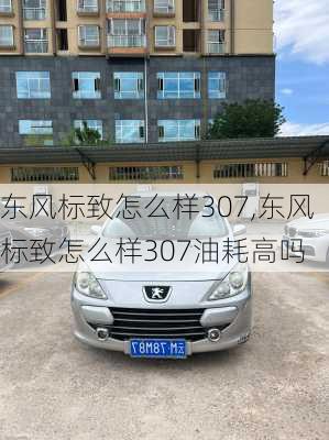 东风标致怎么样307,东风标致怎么样307油耗高吗