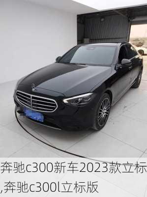 奔驰c300新车2023款立标,奔驰c300l立标版