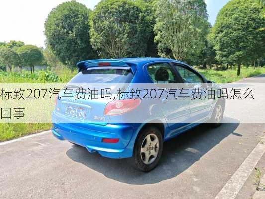 标致207汽车费油吗,标致207汽车费油吗怎么回事