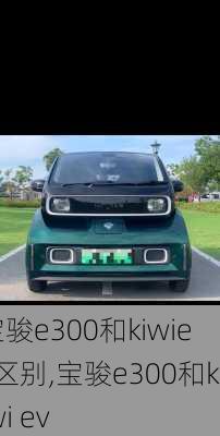 宝骏e300和kiwiev区别,宝骏e300和kiwi ev