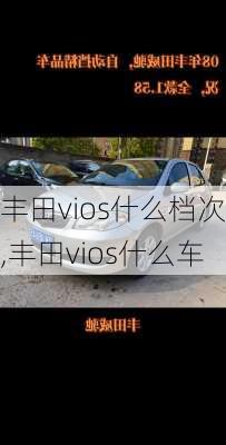 丰田vios什么档次,丰田vios什么车