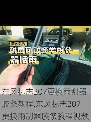 东风标志207更换雨刮器胶条教程,东风标志207更换雨刮器胶条教程视频