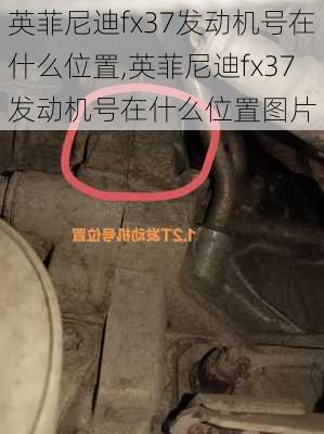 英菲尼迪fx37发动机号在什么位置,英菲尼迪fx37发动机号在什么位置图片