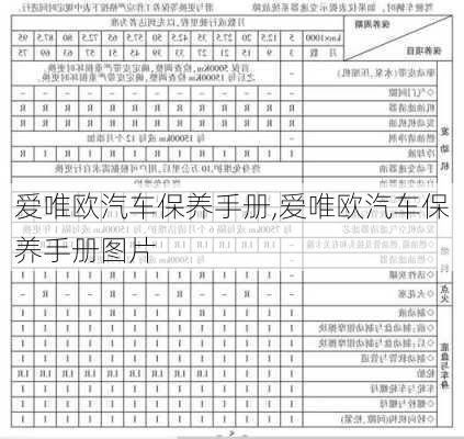 爱唯欧汽车保养手册,爱唯欧汽车保养手册图片