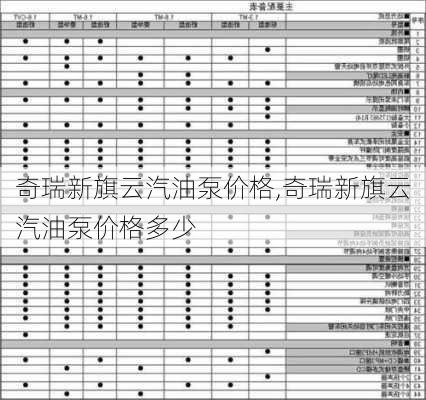 奇瑞新旗云汽油泵价格,奇瑞新旗云汽油泵价格多少