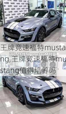 王牌竞速福特mustang,王牌竞速福特mustang值得培养吗