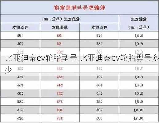 比亚迪秦ev轮胎型号,比亚迪秦ev轮胎型号多少