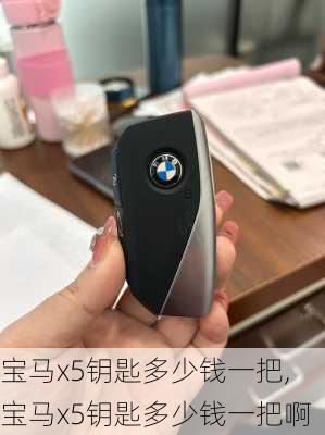 宝马x5钥匙多少钱一把,宝马x5钥匙多少钱一把啊