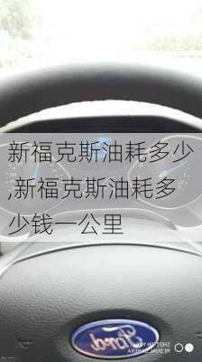 新福克斯油耗多少,新福克斯油耗多少钱一公里