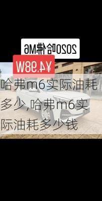 哈弗m6实际油耗多少,哈弗m6实际油耗多少钱