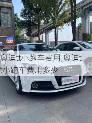 奥迪tt小跑车费用,奥迪tt小跑车费用多少