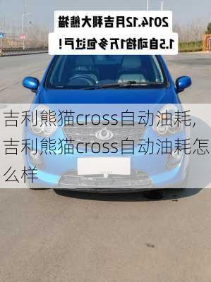 吉利熊猫cross自动油耗,吉利熊猫cross自动油耗怎么样