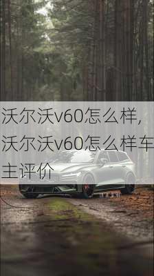 沃尔沃v60怎么样,沃尔沃v60怎么样车主评价