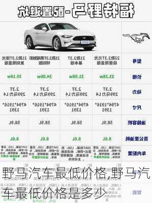 野马汽车最低价格,野马汽车最低价格是多少