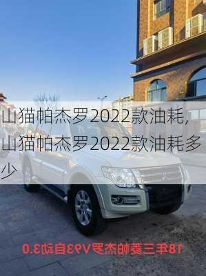 山猫帕杰罗2022款油耗,山猫帕杰罗2022款油耗多少