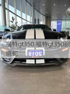 福特gt350,福特gt350眼镜蛇