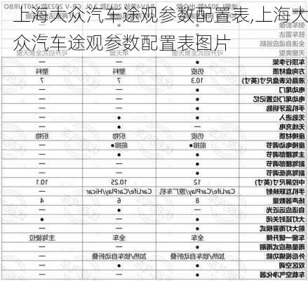 上海大众汽车途观参数配置表,上海大众汽车途观参数配置表图片