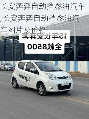 长安奔奔自动挡燃油汽车,长安奔奔自动挡燃油汽车图片及价格