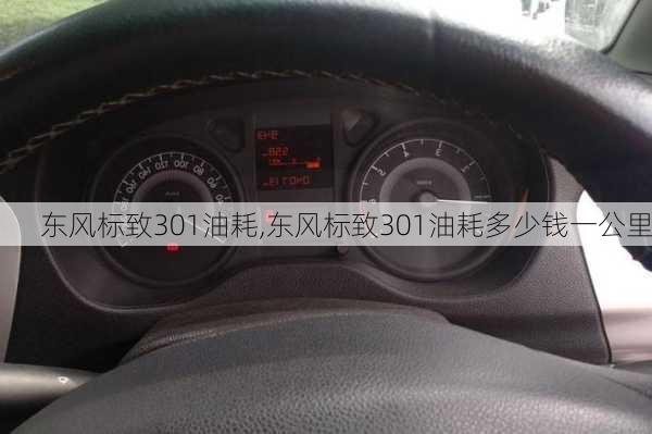 东风标致301油耗,东风标致301油耗多少钱一公里