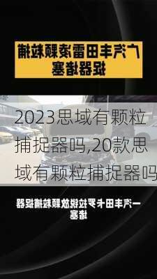 2023思域有颗粒捕捉器吗,20款思域有颗粒捕捉器吗