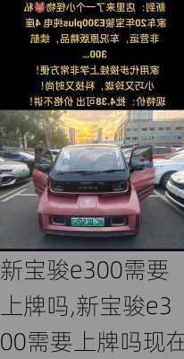 新宝骏e300需要上牌吗,新宝骏e300需要上牌吗现在