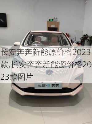 长安奔奔新能源价格2023款,长安奔奔新能源价格2023款图片