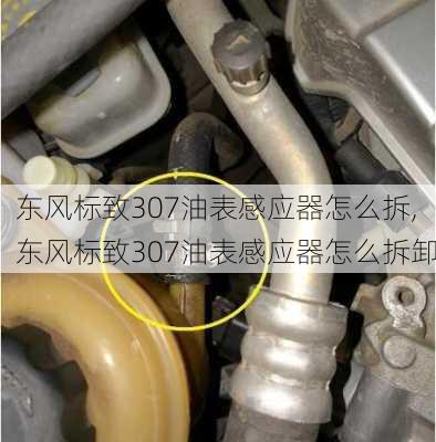 东风标致307油表感应器怎么拆,东风标致307油表感应器怎么拆卸