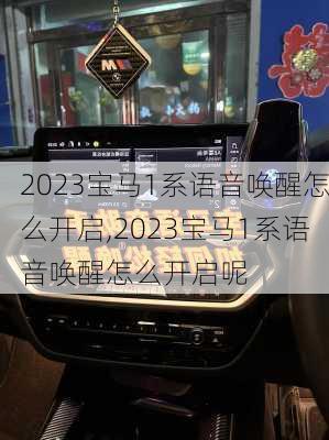 2023宝马1系语音唤醒怎么开启,2023宝马1系语音唤醒怎么开启呢