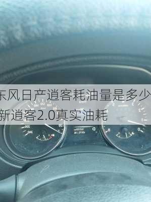 东风日产逍客耗油量是多少,新逍客2.0真实油耗