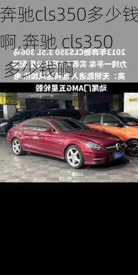 奔驰cls350多少钱啊,奔驰 cls350 多少钱啊